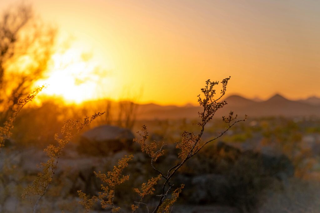 The Philosophy of Light in Photography, golden hour lighting landscape